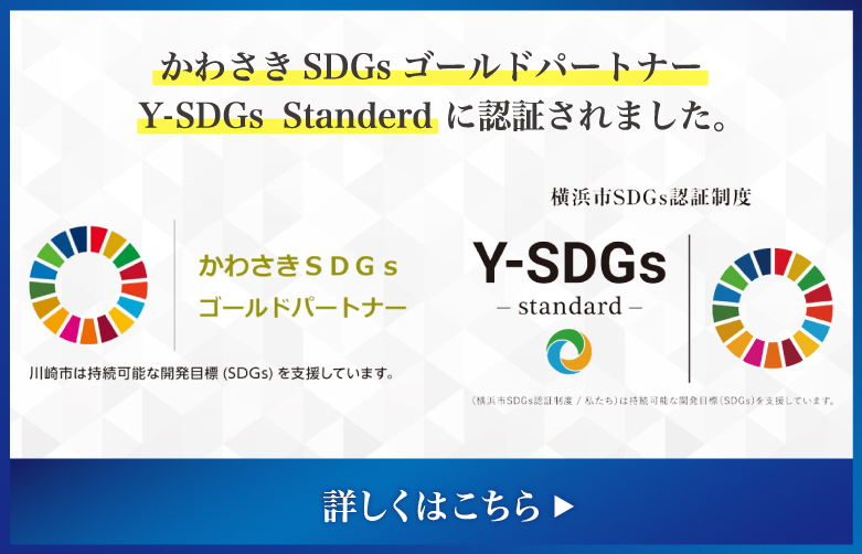 Y-SDGs -standard-